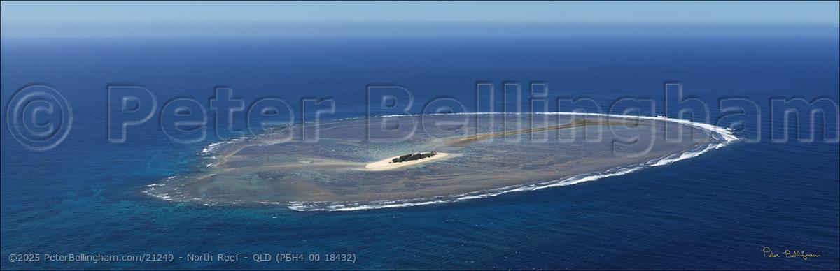 Peter Bellingham Photography North Reef - QLD (PBH4 00 18432)